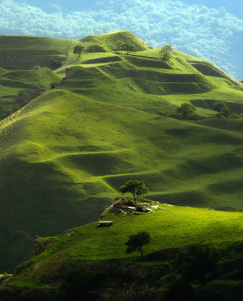 Photograph by Алексей Мараховец