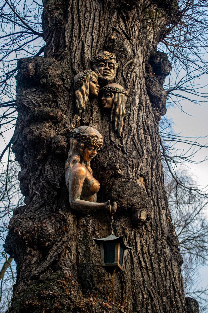 Photograph by Alexandra Yankovskaya