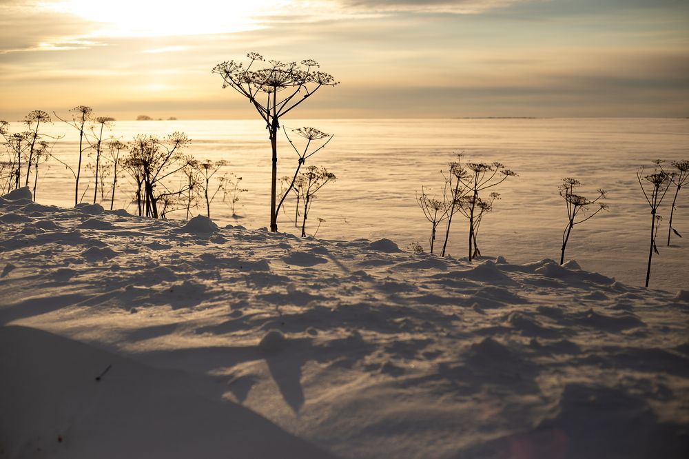 Photograph by Светлана Кузнецова
