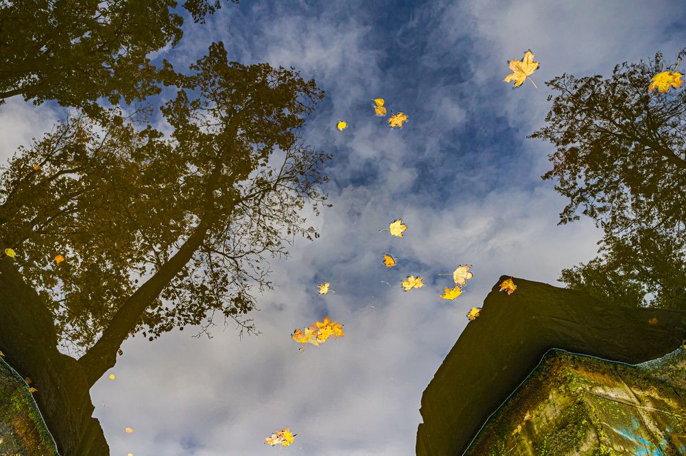 Photograph by Valdis Serzhans