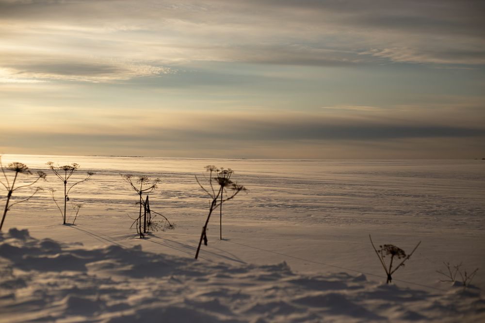 Photograph by Светлана Кузнецова