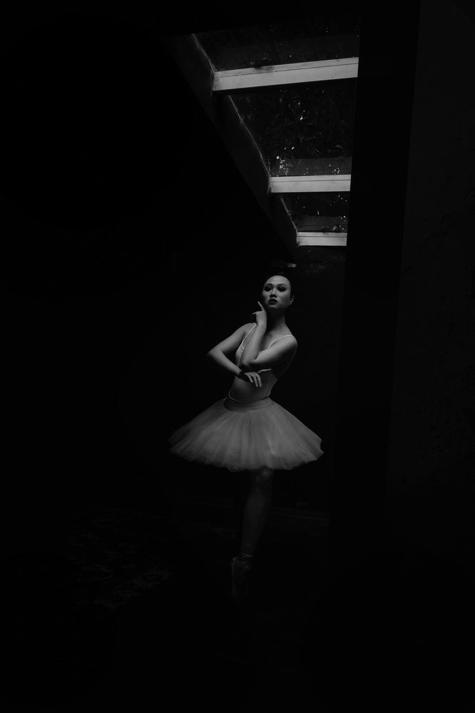 Photograph by Dũng Phạm