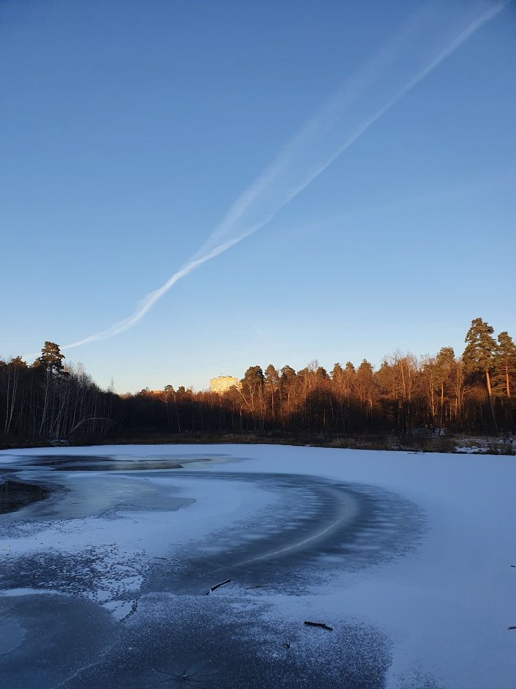 Photograph by Olga Vinogradova