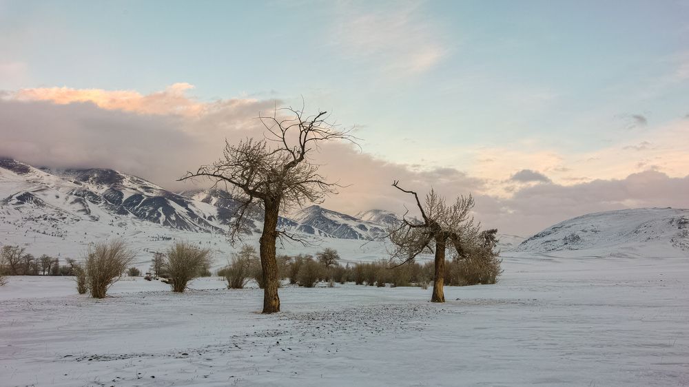 Photograph by Вараксин Николай