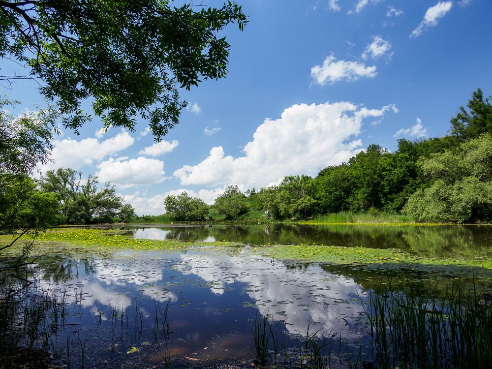 Photograph by Светлана Воробьева