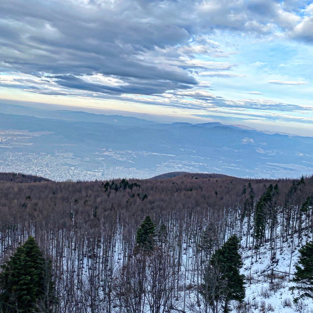 Photograph by Feda Haddad