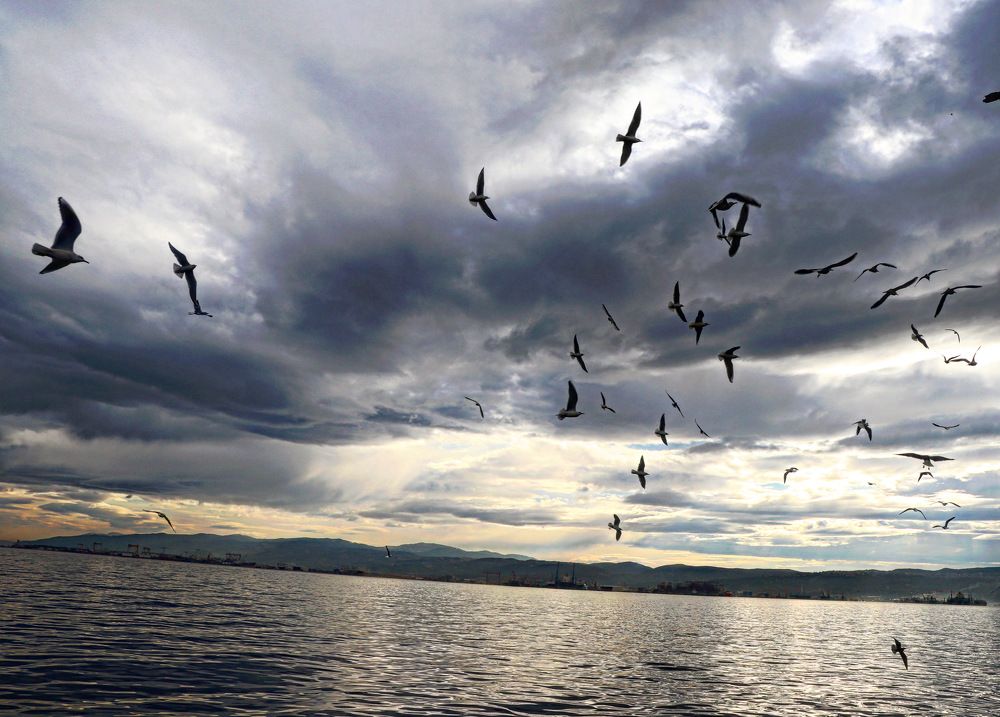 Photograph by Feda Haddad