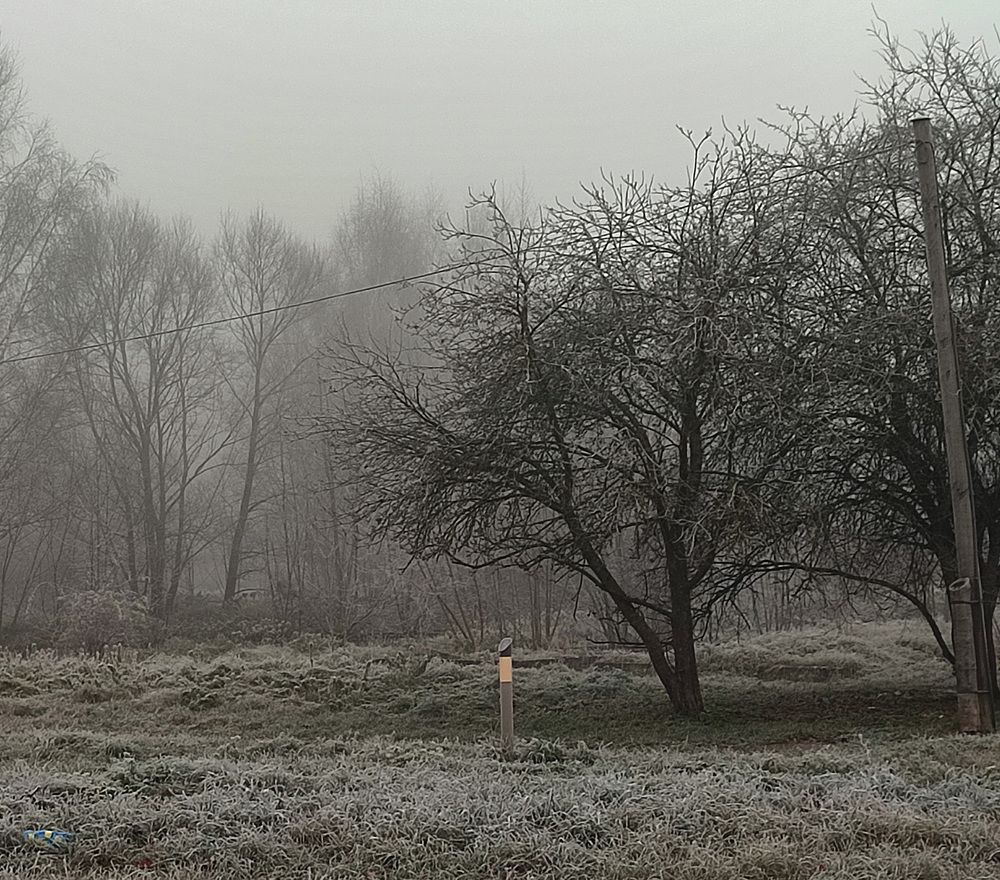 Photograph by Viktors Giršsons