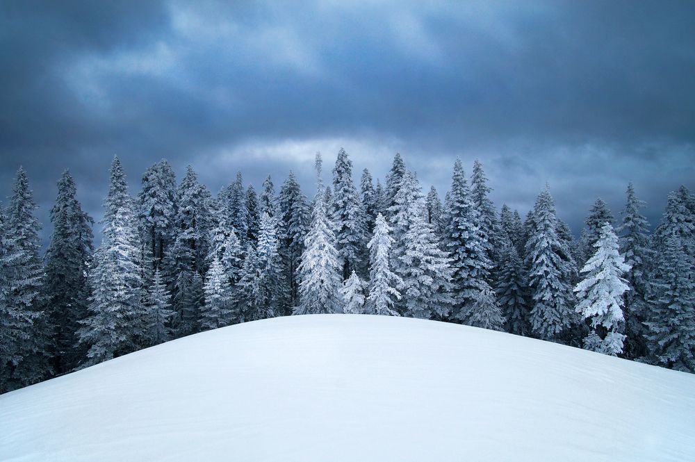 Photograph by Ирина Щеглова