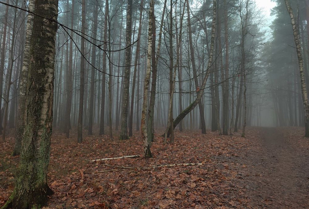 Photograph by Viktors Giršsons