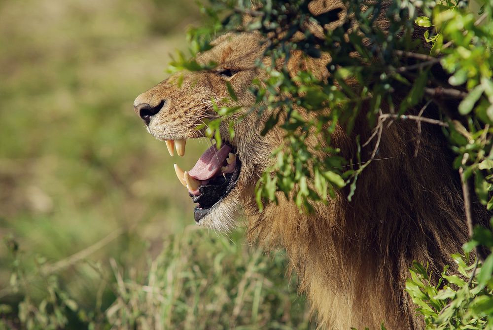 Фотография автора konstantin zhdanov