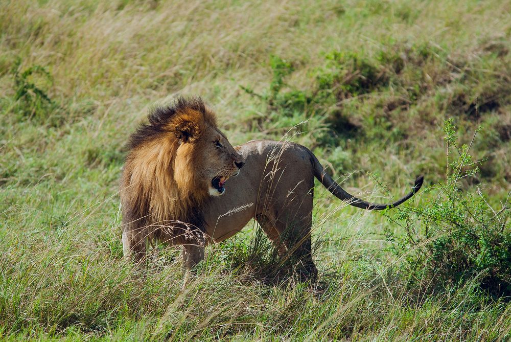 Фотография автора konstantin zhdanov