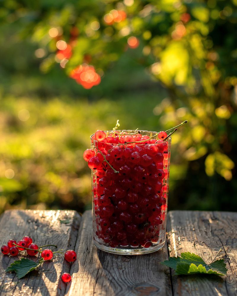 Фотография автора Татьяна Чугунова