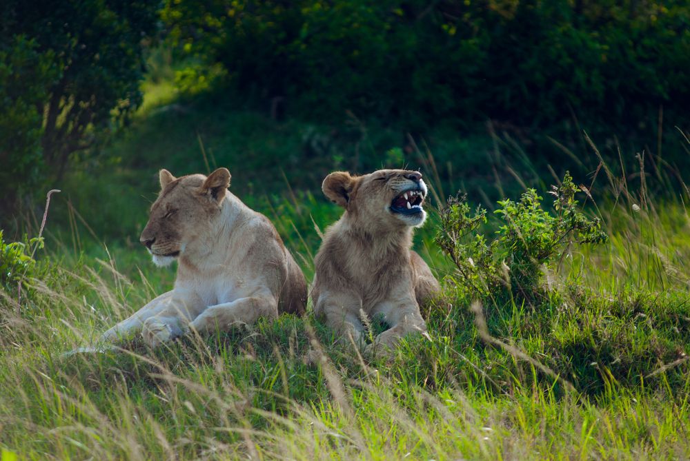 Фотография автора konstantin zhdanov