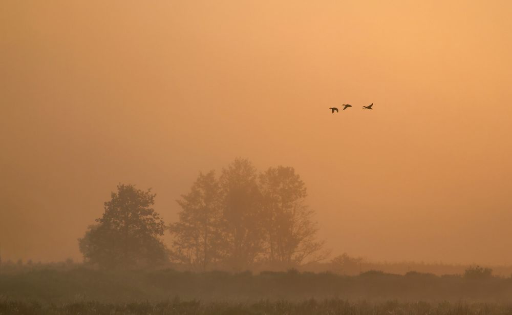 Photograph by Михаил Жиркин