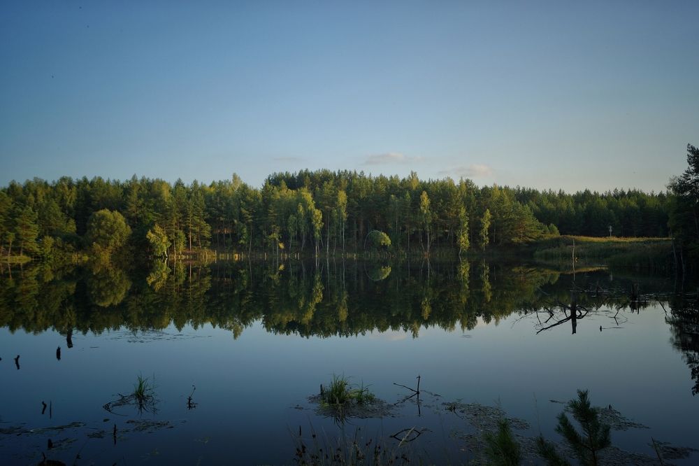 Photograph by Мария Колоскова