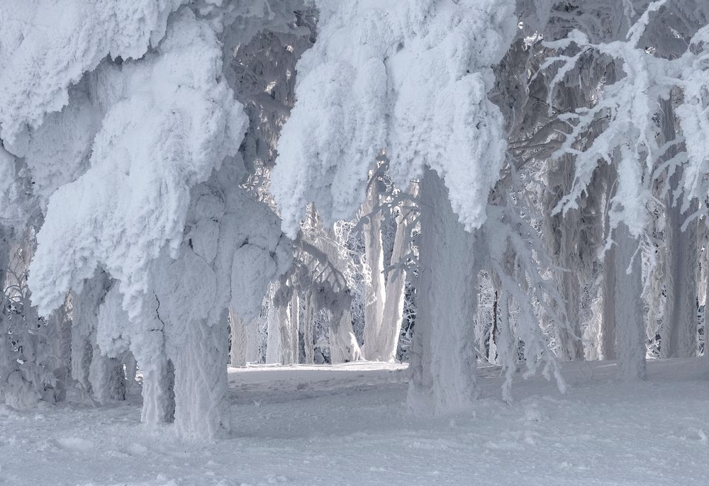 Photograph by Марина Фомина