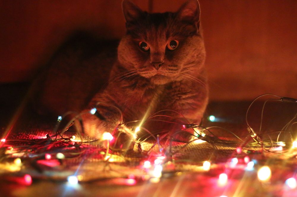 Photograph by Софья