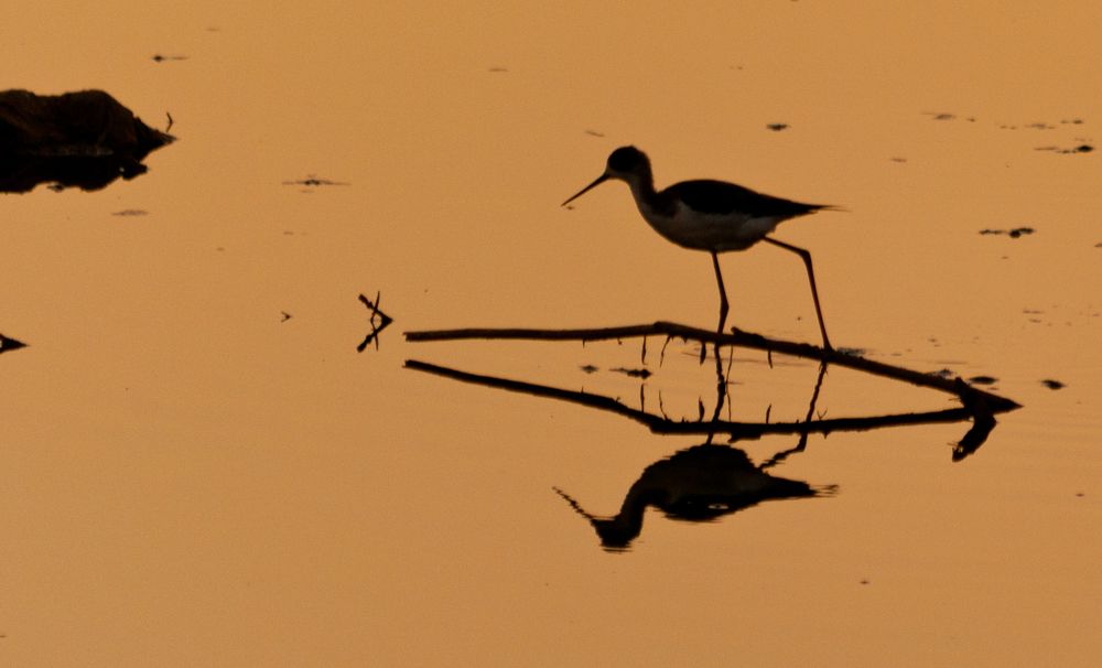 Фотография автора toufik loukili