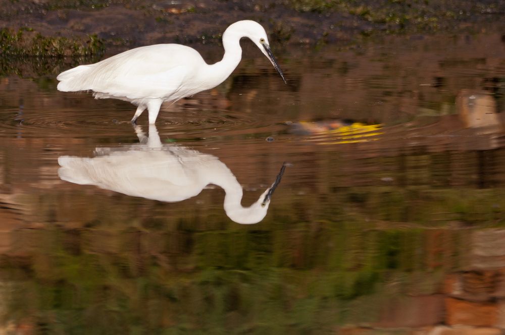 Фотография автора toufik loukili
