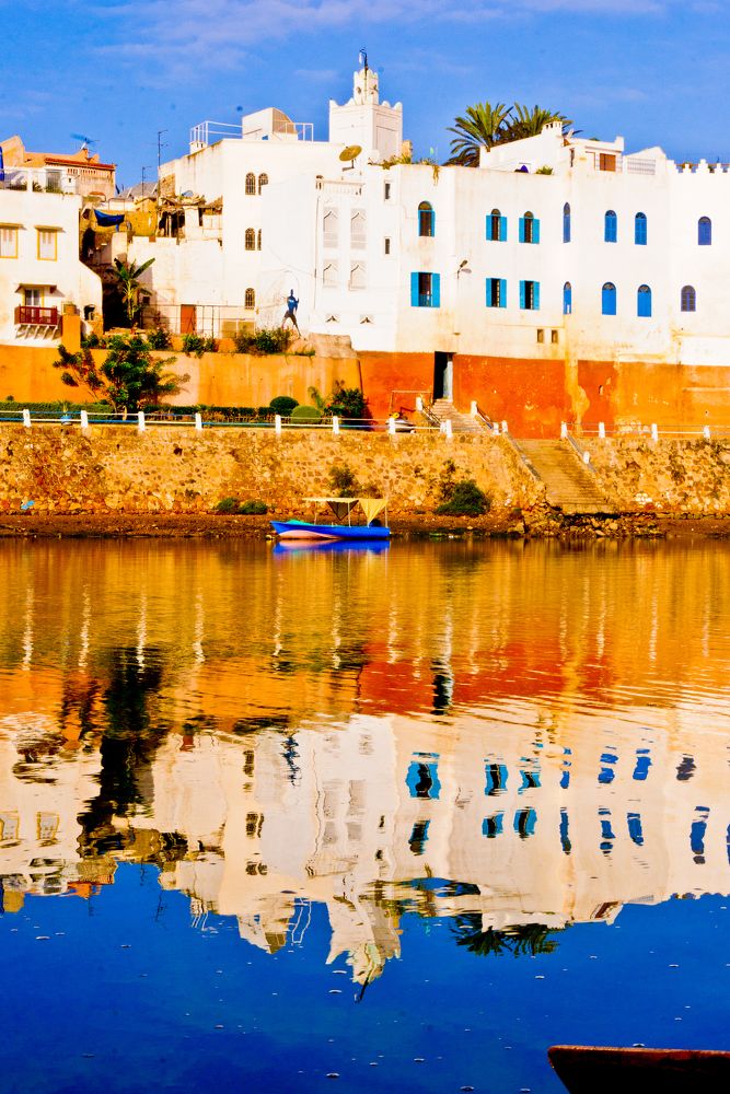 Фотография автора toufik loukili