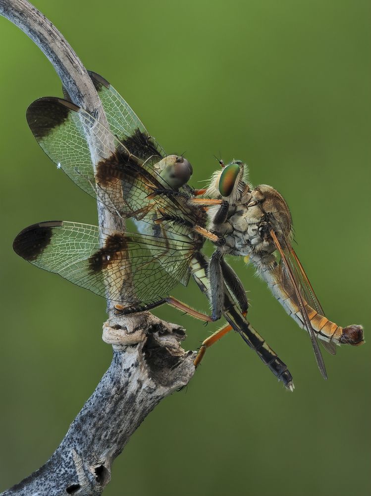 Photograph by Ha Phi Thi Thu