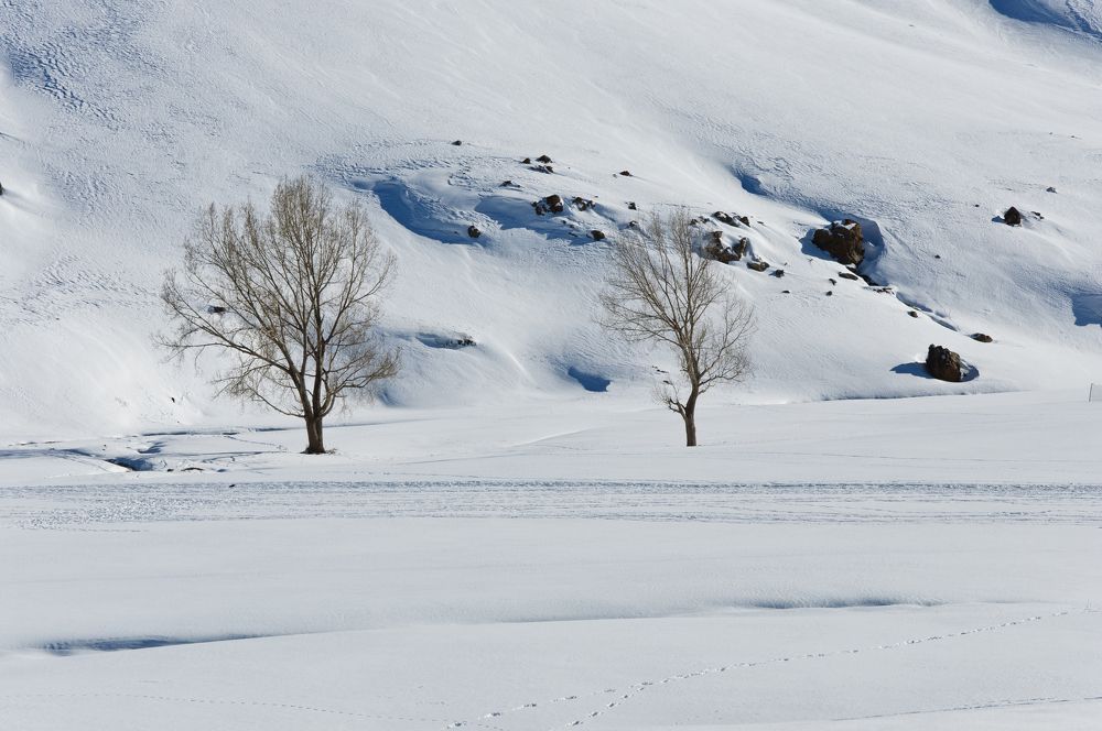 Фотография автора toufik loukili