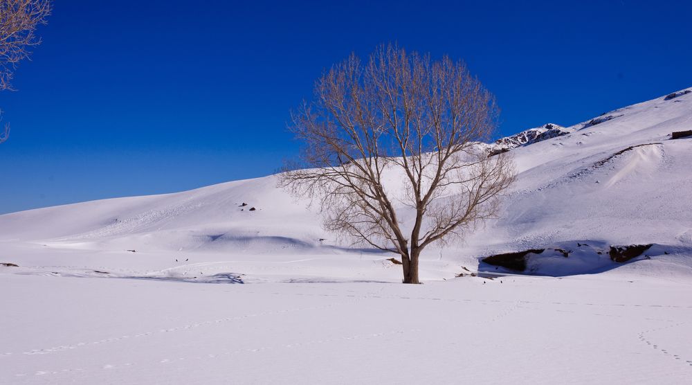 Фотография автора toufik loukili