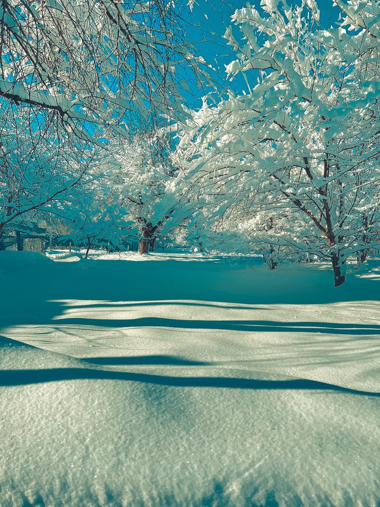 Зимняя Сказка ..