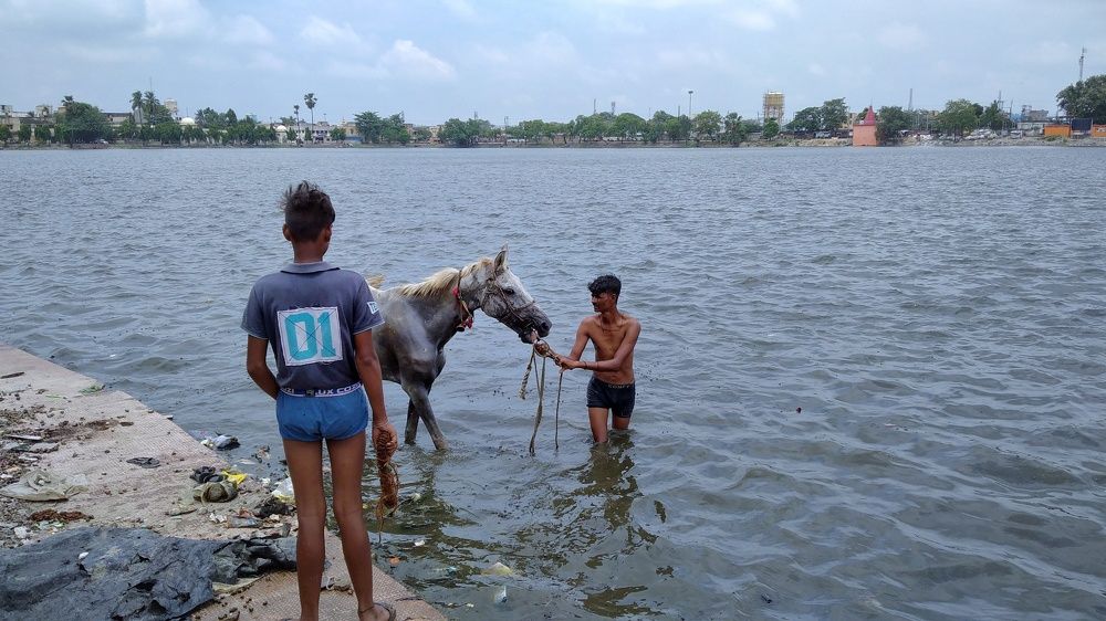 Photograph by Ratnam Roy