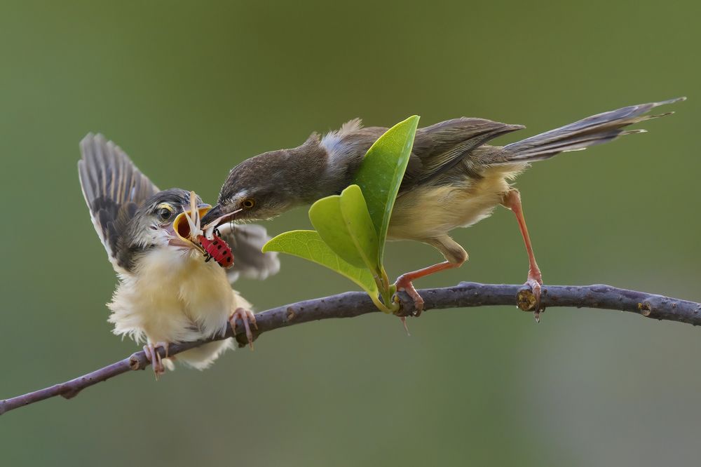 Photograph by Ha Phi Thi Thu