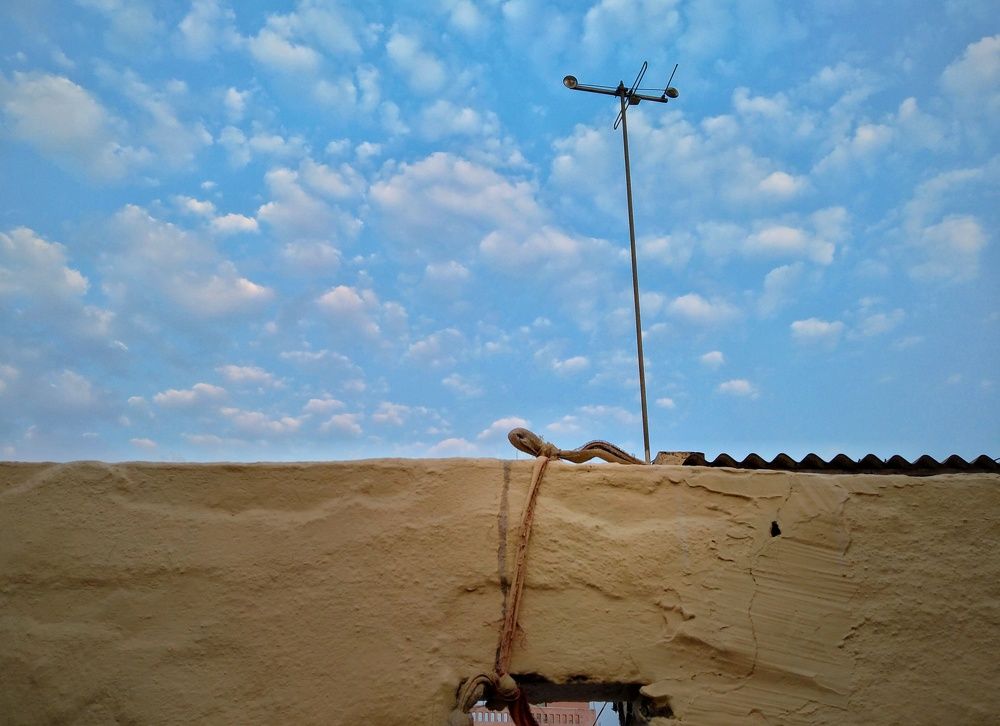 Photograph by Ratnam Roy