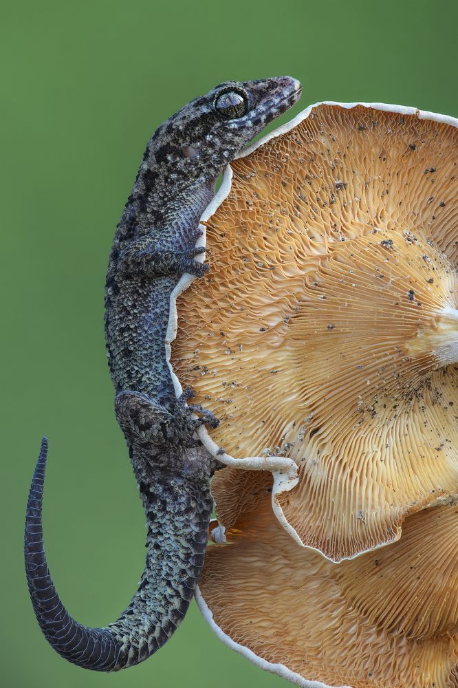 Photograph by Ha Phi Thi Thu