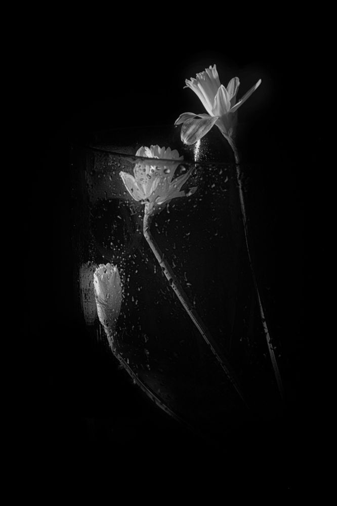 Photograph by Viktoria Alaküla