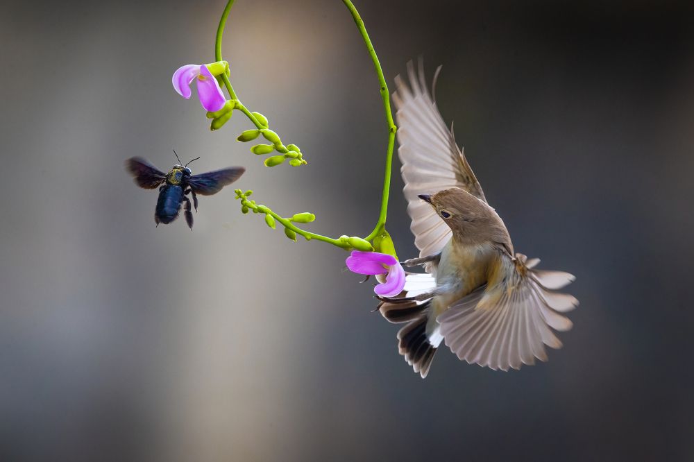 Photograph by Rin Võ