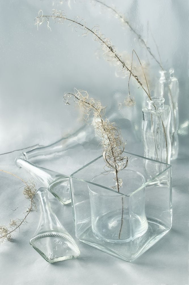 Photograph by Viktoria Alaküla