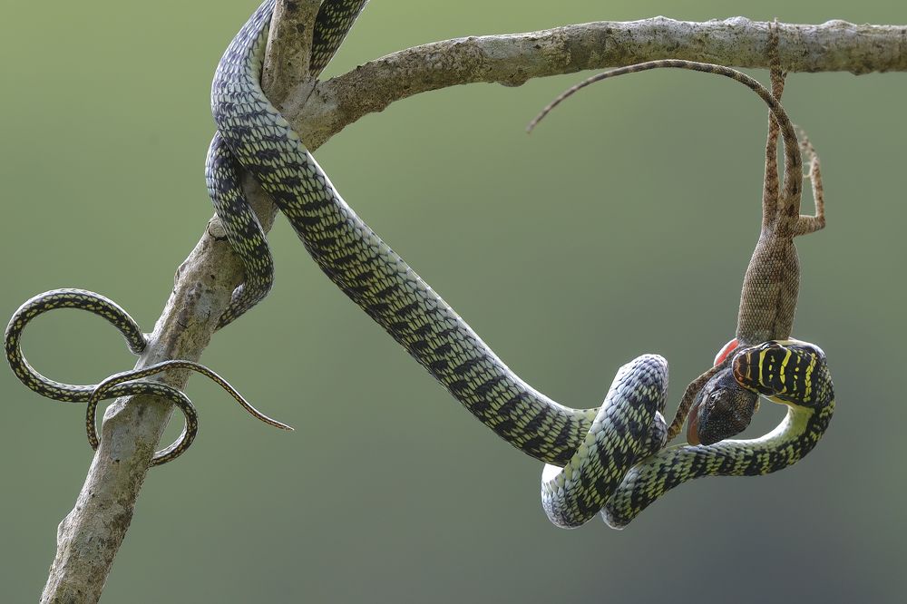 Photograph by Ha Phi Thi Thu