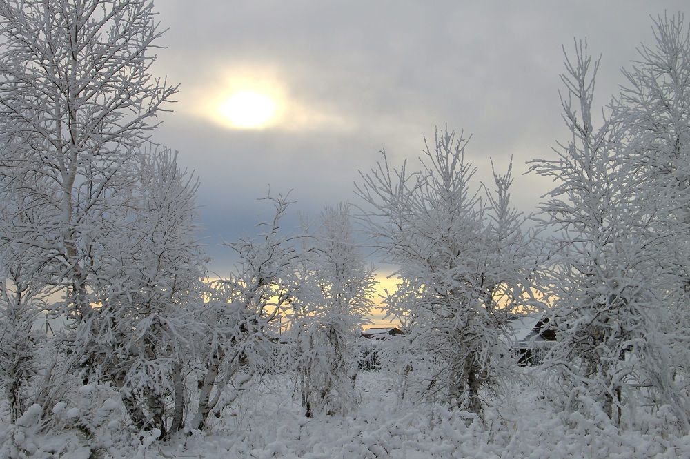 Photograph by Леунина Людмила