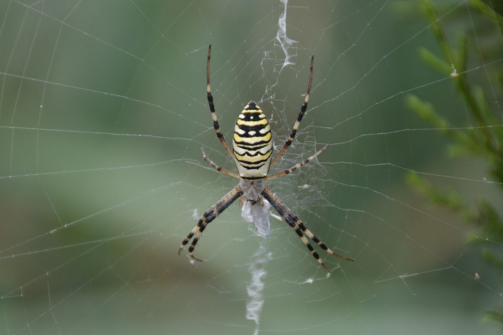 Photograph by Mohammad Amin Ghaffari