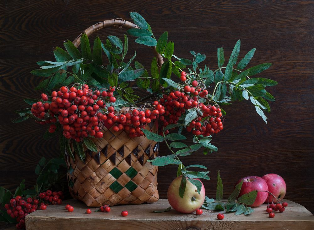 Осенняя красавица - кудрявая рябина.