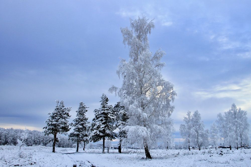 Photograph by Леунина Людмила