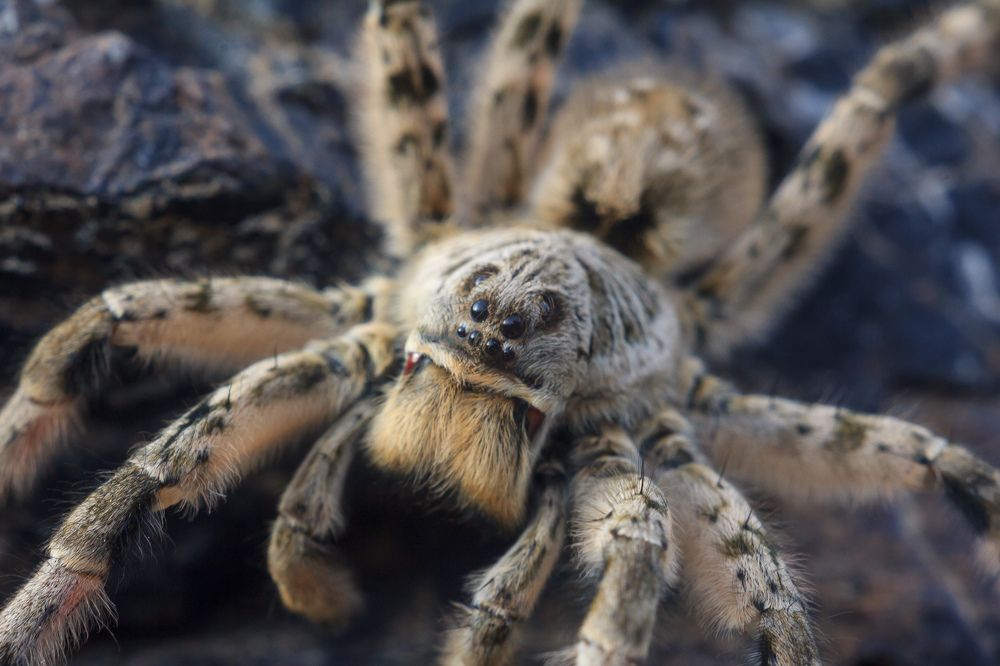 Фотография автора Василий Михайлин