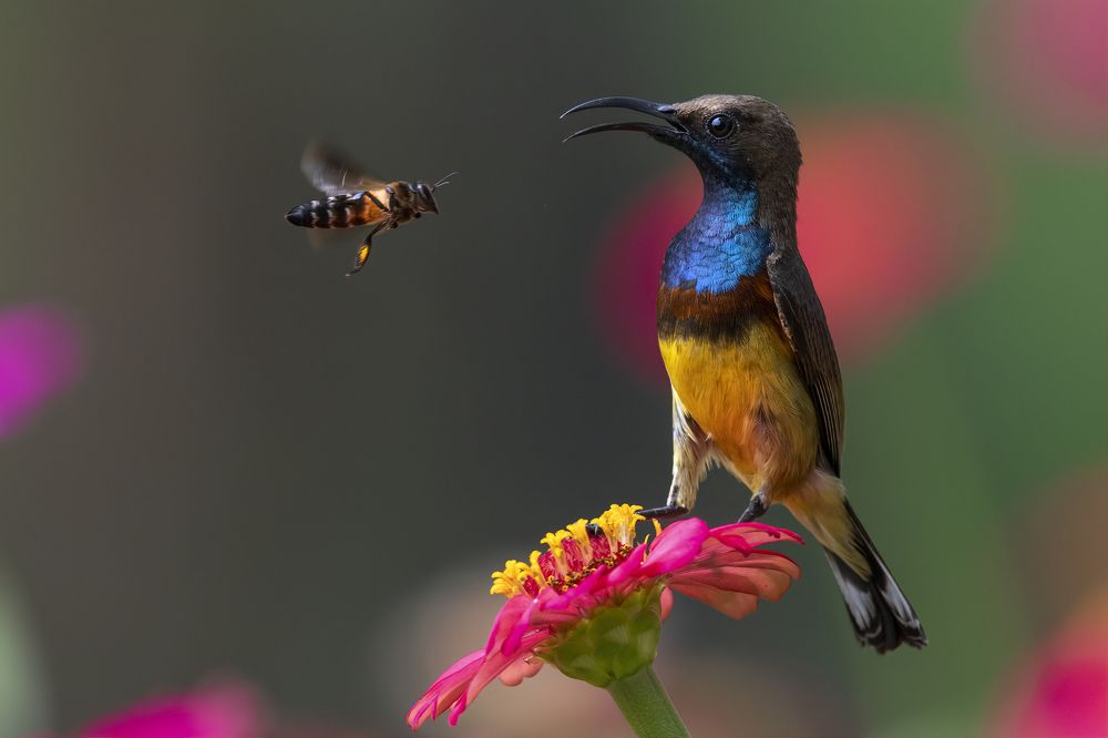 Photograph by Ha Phi Thi Thu