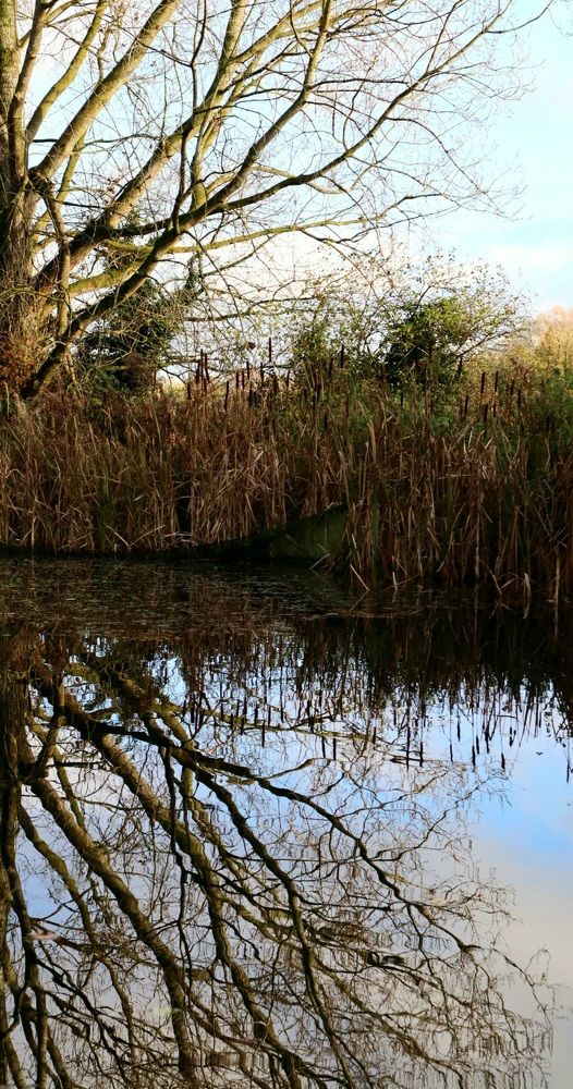 Photograph by Aneta Kicia