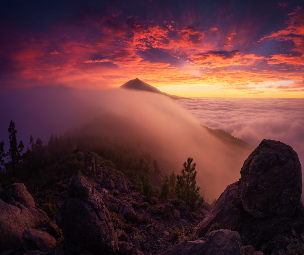 Photograph by Efrén