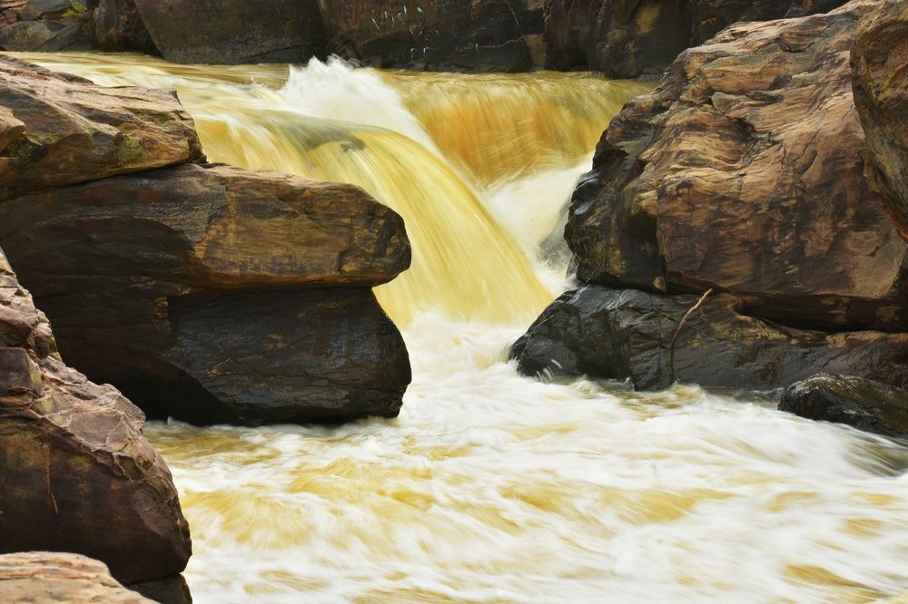 Photograph by Joy Karmakar