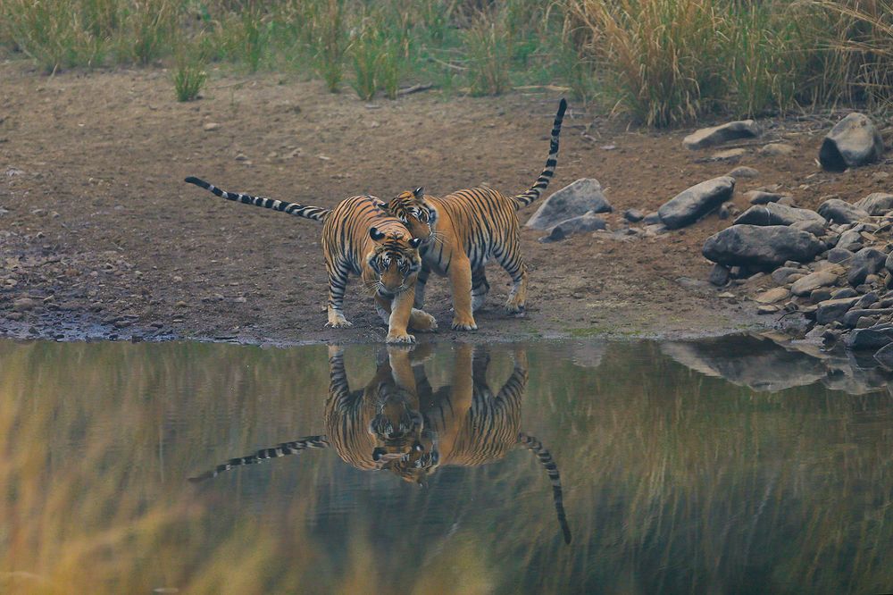 Photograph by Tanya Tiwari