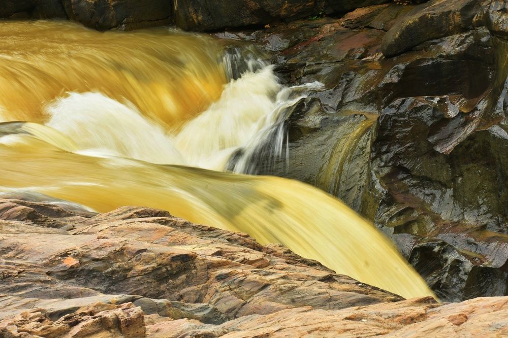 Photograph by Joy Karmakar