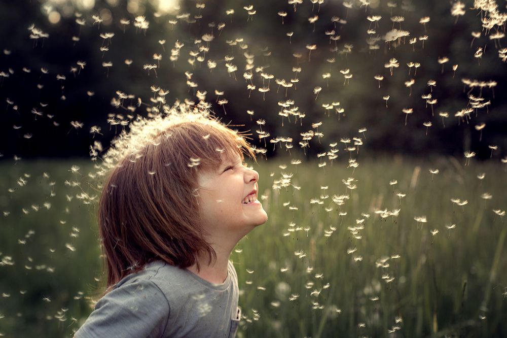 Photograph by Чистякова Валерия