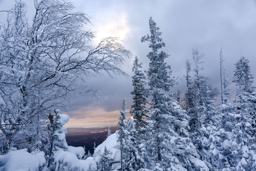Photograph by Сергей Шварцман